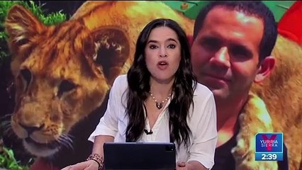 Se suman demandas contra el dueño de Black Jaguar-White Tiger