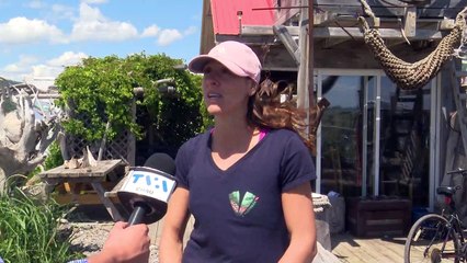 Plongée sous-marine : Une école à couper le souffle