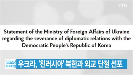[YTN 실시간뉴스] 우크라, '친러시아' 북한과 외교 단절 선포 / YTN