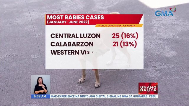 DOH: Kaso ng rabies sa bansa, umabot na sa 157 ngayong 2022; Lahat namatay | UB