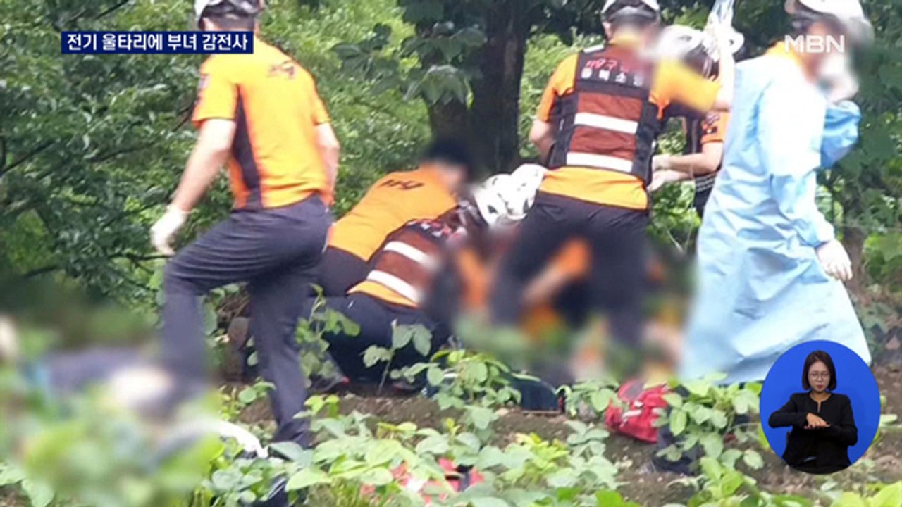 야생동물 막으려다 아버지·딸 감전사…전봇대 연결 전기울타리 '위험'
