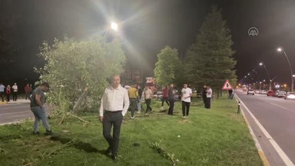 Refüjdeki ağaçlara çarpan otomobilin sürücüsü öldü