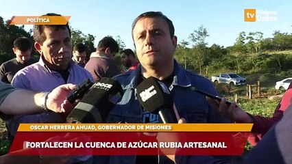 Fortalecen la cuenca de azúcar rubia artesanal
