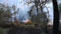 Incendios en departamento francés de Gironde ya han quemado 2.700 hectáreas