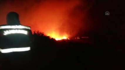 Çeşme'de makilik alanda çıkan yangına müdahale ediliyor (9)
