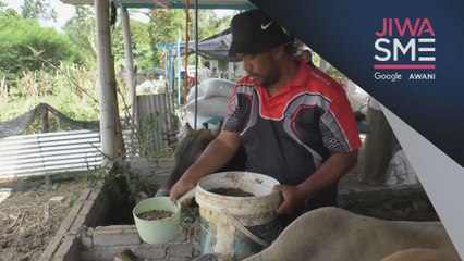 Jiwa SME | Penjualan lembu di platform media sosial