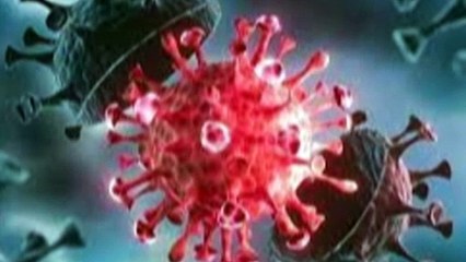 BA.5 VARIANT DETECTED IN T&T