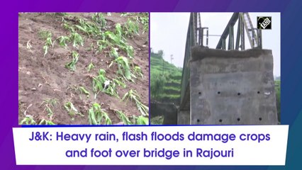 Download Video: J&K: Heavy rain, flash floods damage crops and foot over bridge in Rajouri