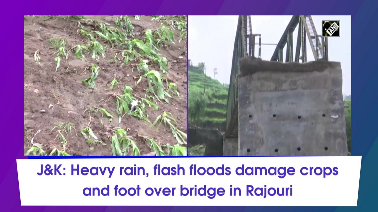J&K: Heavy rain, flash floods damage crops and foot over bridge in Rajouri