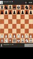 Checkmate with the Queen and Two Knights. Chess