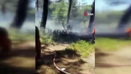 Antalya’da ormanlık alanda çıkan yangında kibrit kutuları bulundu