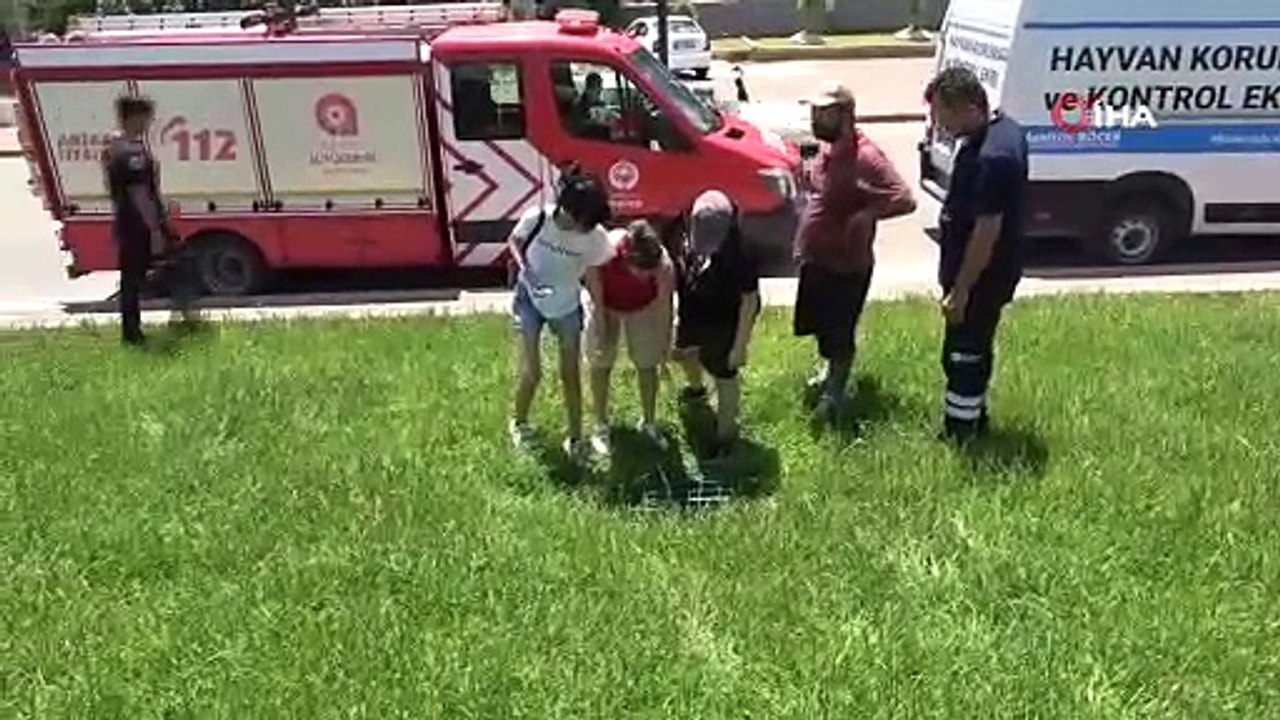 Hayanseverler ve itfaiyecilerden 40 derece sıcakta kedi kurtarma seferberliği