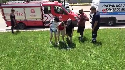 Hayanseverler ve itfaiyecilerden 40 derece sıcakta kedi kurtarma seferberliği