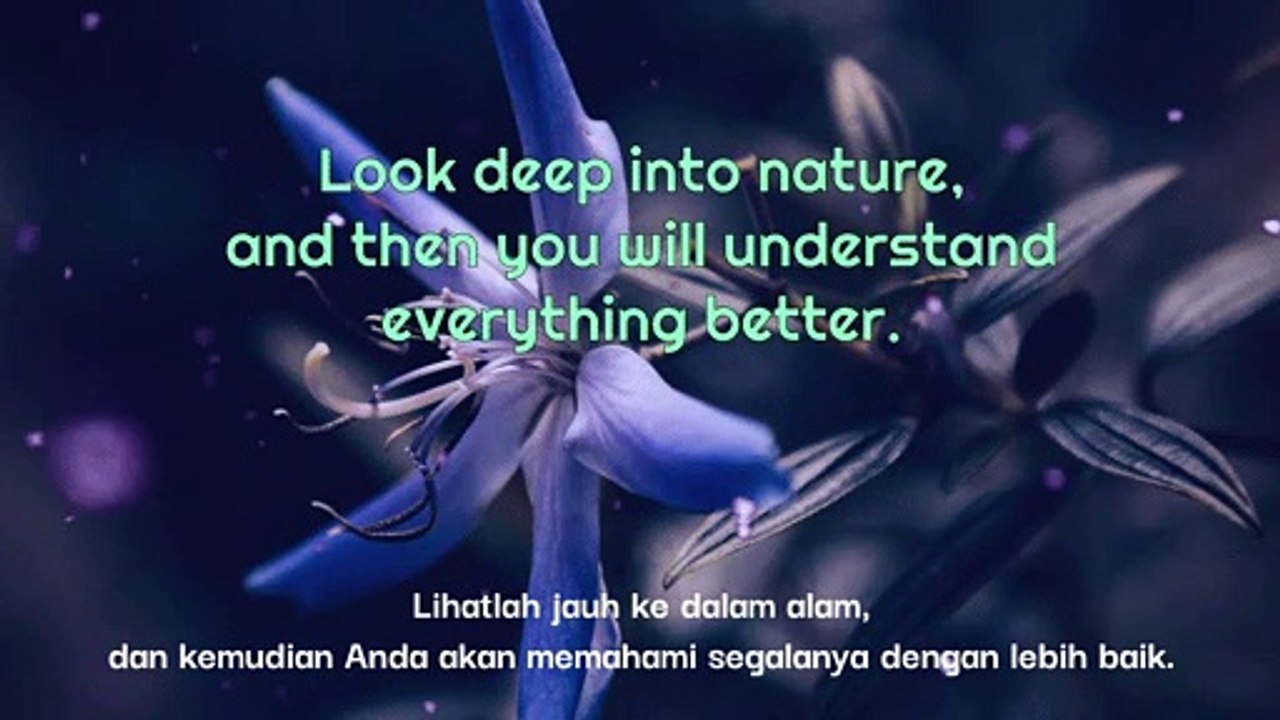 GOOD QUOTES FOR NATURE