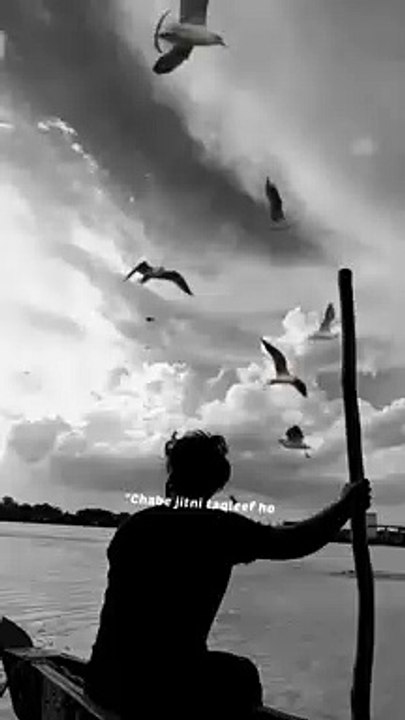 Emotional video 
