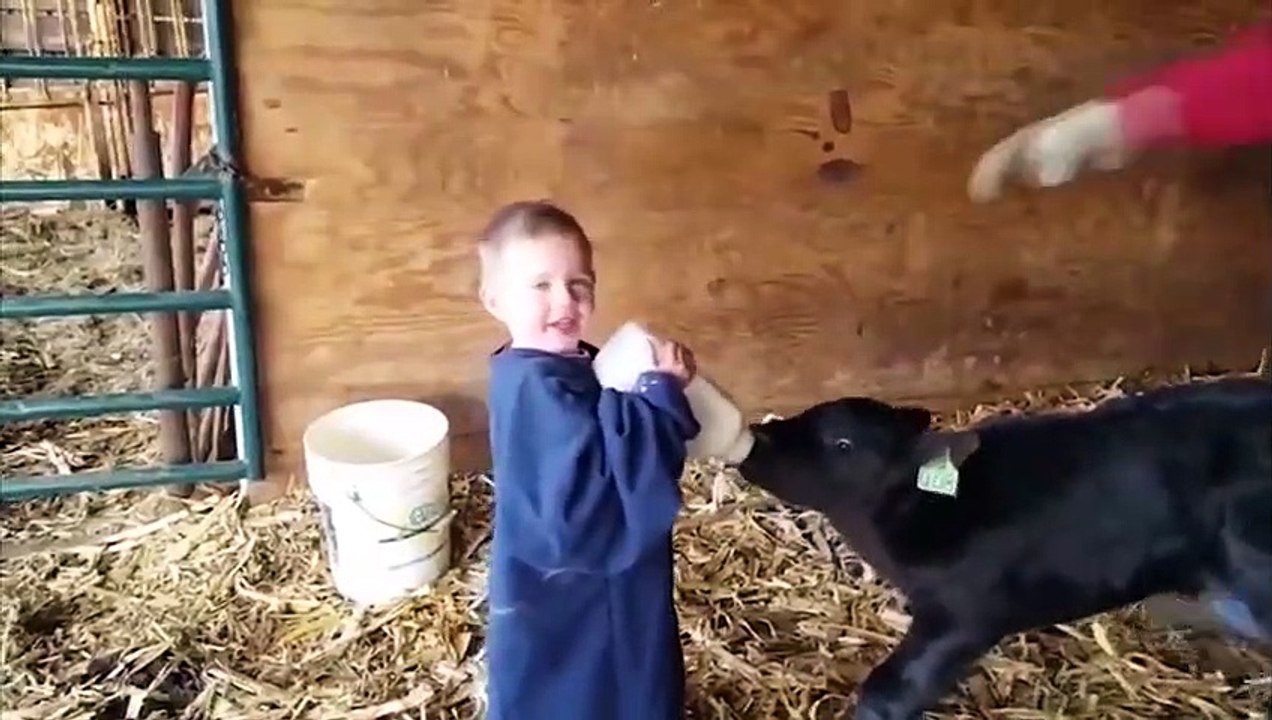 Animaux mignons et drôles à la traîne des bébés