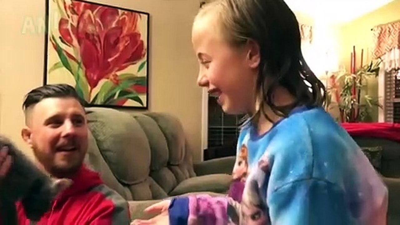 Animaux mignons Suprise Kids Compilation! - Bébés et animaux drôles