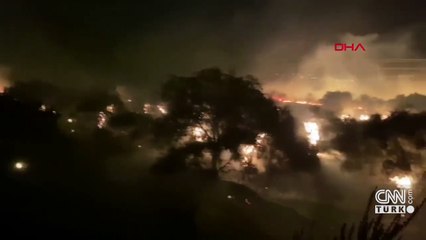 Zeytinlik yangını tıra sıçradı