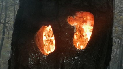 Datça yangını sürüyor