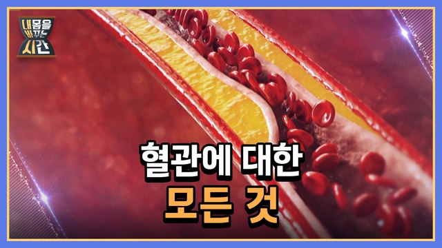 내 몸을 바꾸는 시간 7회 [혈관에 대한 모든 것] 미리보기