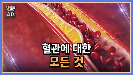 내 몸을 바꾸는 시간 7회 [혈관에 대한 모든 것] 미리보기