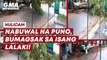 Nabuwal na puno, bumagsak sa isang lalaki! | GMA News Feed