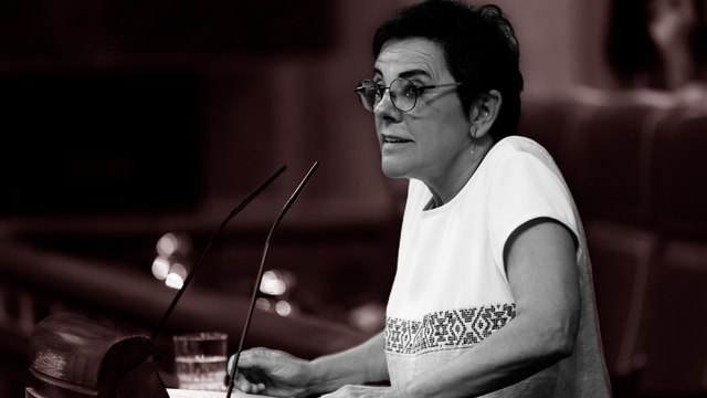 El mensaje de Aizpurua (EH Bildu) a las víctimas de ETA: Sentimos su sufrimiento y nos comprometemos a mitigarlo