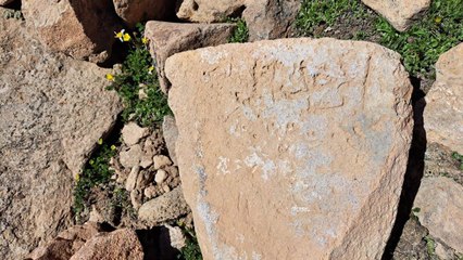 Defineciler 4 bin metrelik zirvedeki tarihi mezarlığa dadandı