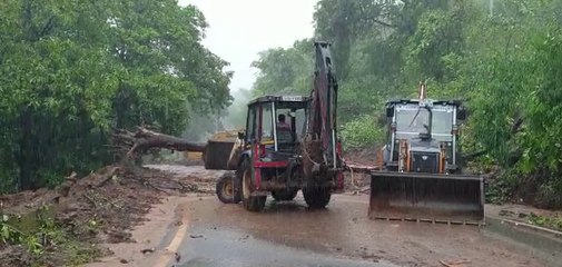 Dang : મૂશળધાર વરસાદ પછી રસ્તા સાફ કરવા તંત્ર લાગ્યું કામે, જુઓ વીડિયો