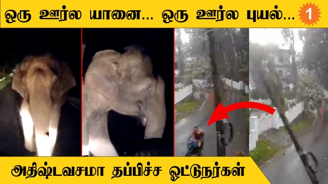 கரும்புக்கட்டை தேடி வந்த யானை… JUST MISSல் தப்பிய டிரைவர்… *Viral