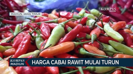 Harga Cabai Rawit Mulai Turun