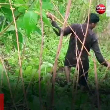 भोपाल (मप्र): पर्यटकों की कार 200 फीट गहरी खाई में गिरी