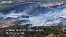 İzmir'in Bergama ilçesinde makilik yangını! Alevler fabrikaya da sıçradı