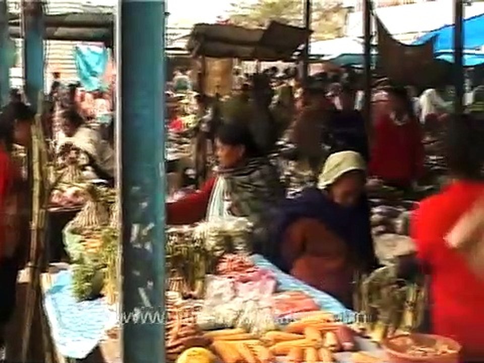 Freshwater fish varieties on sale in Nagaland!