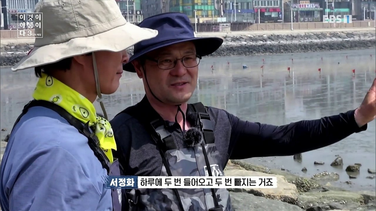 이것이 야생이다 3 - 갯벌의 방랑자들_#001
