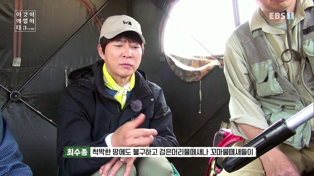 이것이 야생이다 3 - 갯벌의 방랑자들_#003