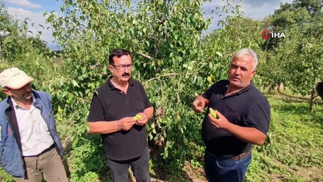 Bursa'da neler oluyor: 20 Milyon TL zarar var