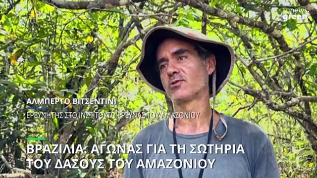 Αναρριχητές δέντρων, κάμερες και μικρόφωνα για τη σωτηρία του Αμαζονίου