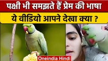 Bird Love: पक्षी भी समझते है प्रेम की भाषा, युवती को कैसे मना रहा हैं तोता | वनइंडिया हिंदी |*News