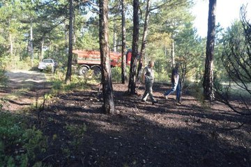 Son dakika haberi: KÜTAHYA'DA ORMAN YANGINI