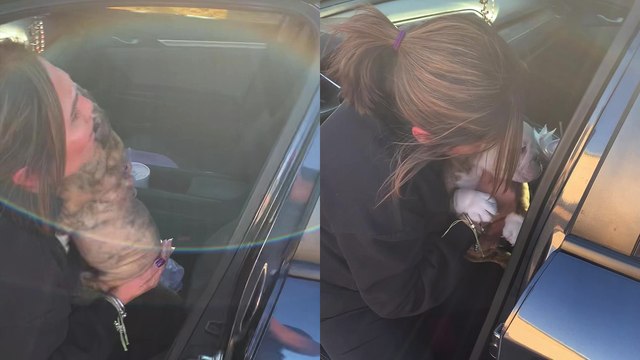 Woman who lost her two Boxer pups gets surprised with a new puppy Emotional