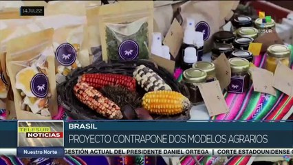 Senado brasileño discute aprobación de proyecto sobre uso de agrotóxicos