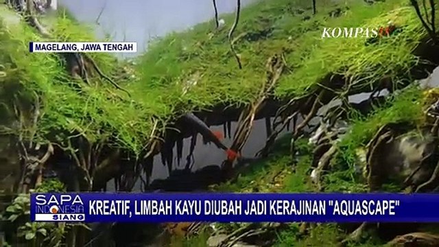 Dua Pemuda Asal Magelang Sulap Limbah Kayu Jadi Kerajinan Aquascape, Bernilai Jutaan Rupiah!
