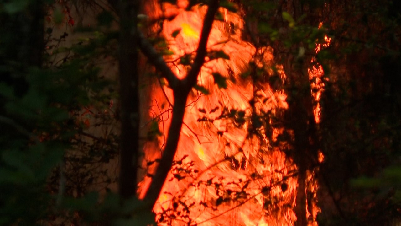 «Il y a beaucoup de points sensibles à défendre »: les pompiers face au feu qui ravage la Gironde