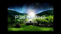 Puiu Nastase -colaj muzica de pahar 2