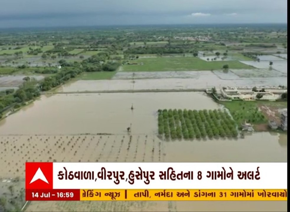 વડોદરા: પાદરામાંથી પસાર થતી ઢાઢર નદીનું રૌદ્ર સ્વરૂપ જોવા મળ્યું