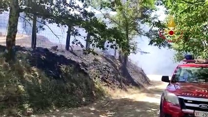 Pistoia, incendio a Candeglia: brucia il bosco