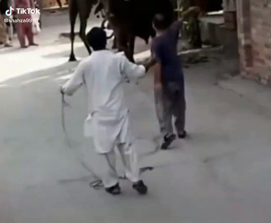 TikTok - Make Your Day_3