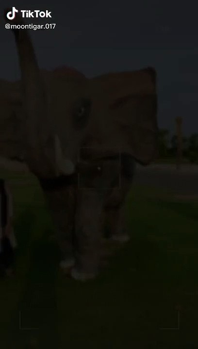 Watch trending videos for you