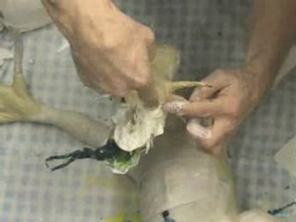 Gourmet Papier Mache Dragon